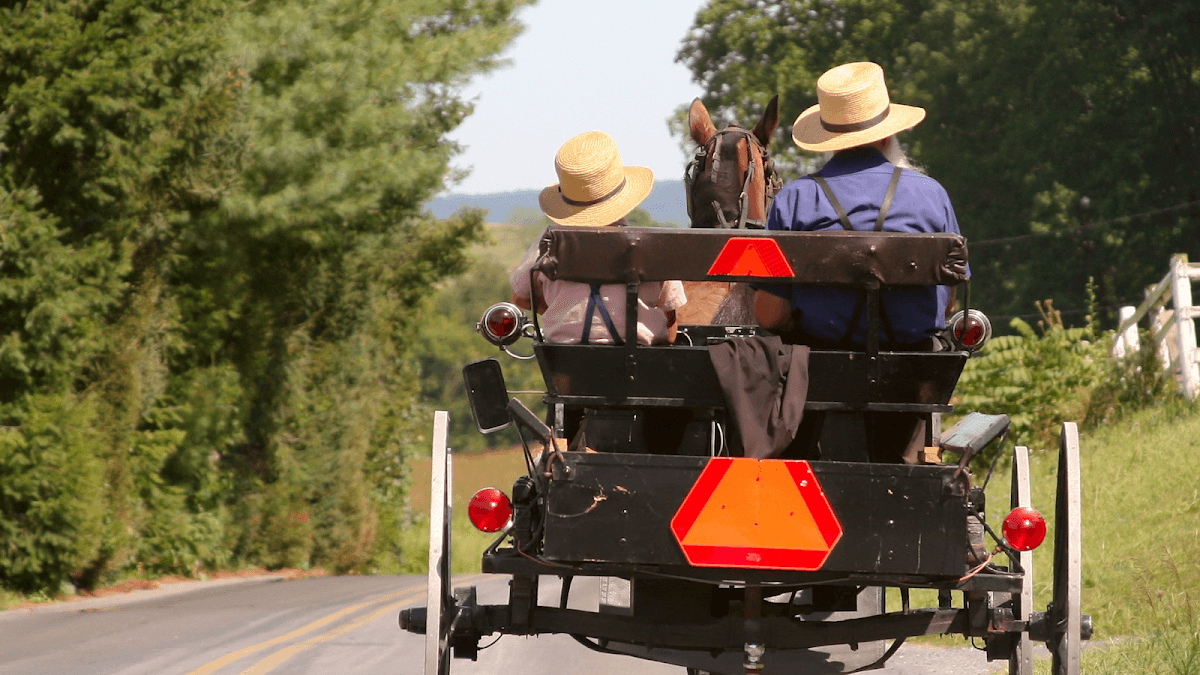 The Amish Farm and House - ranked #1 Tour in Lancaster County, Pennsylvania