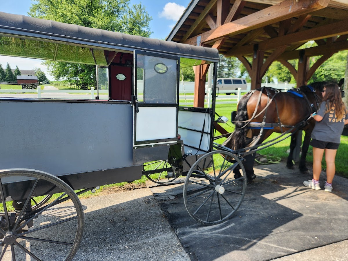 Aaron & Jessica's Buggy Rides - tour in Lancaster, Pennsylvania