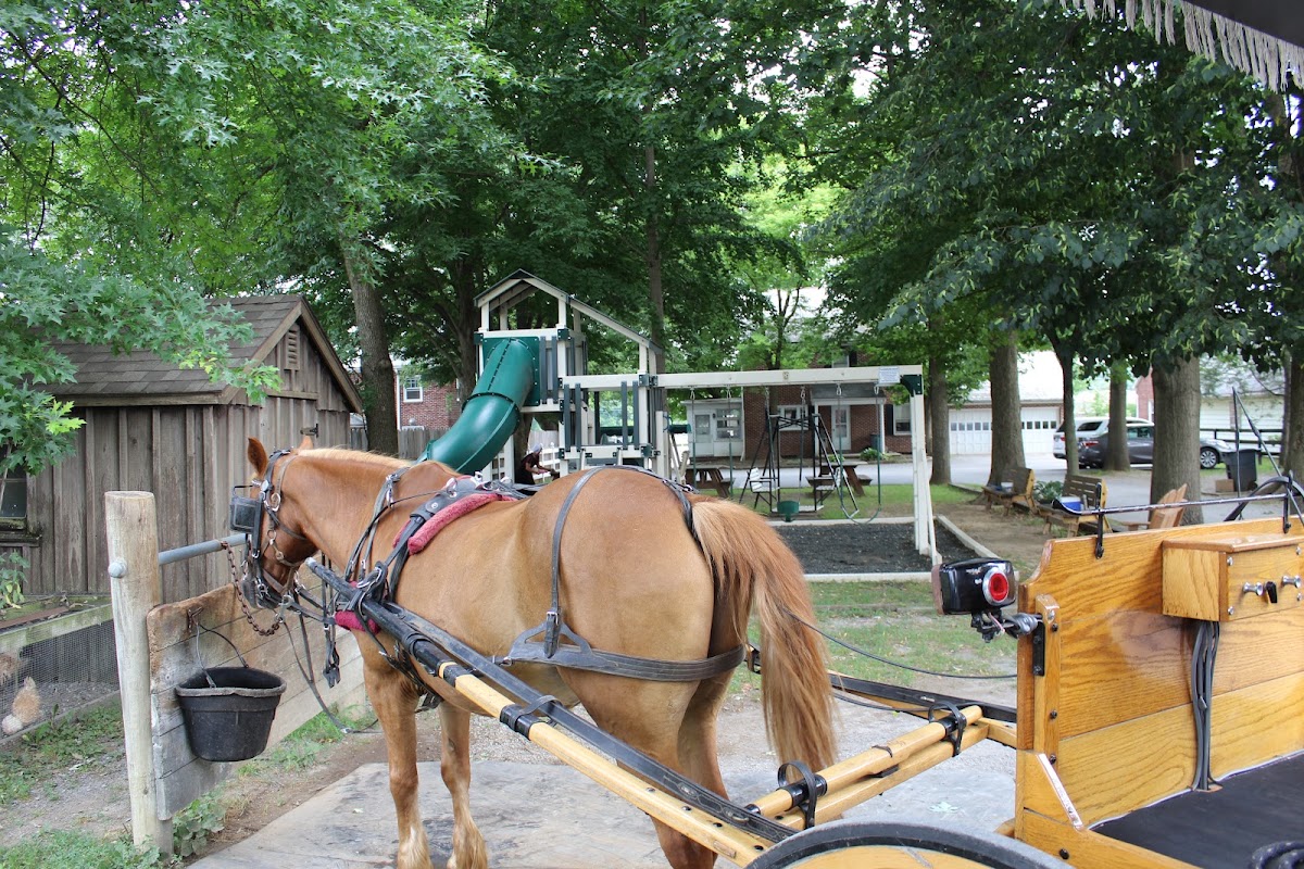 Abe's Buggy Rides - tour in Lancaster, Pennsylvania